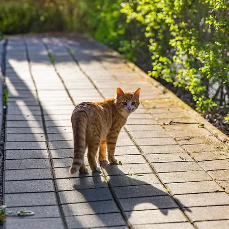 Anička Region Liptovský Mikuláš * Liptovske Matiasovce