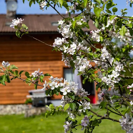 Apartament Anicka Region Liptovsky Mikulas *