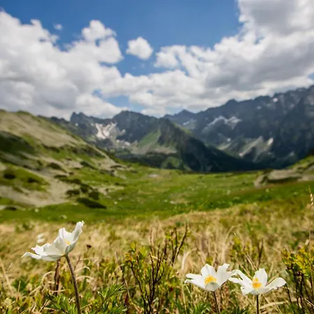 Anicka Region Liptovsky Mikulas * Mattyasóc