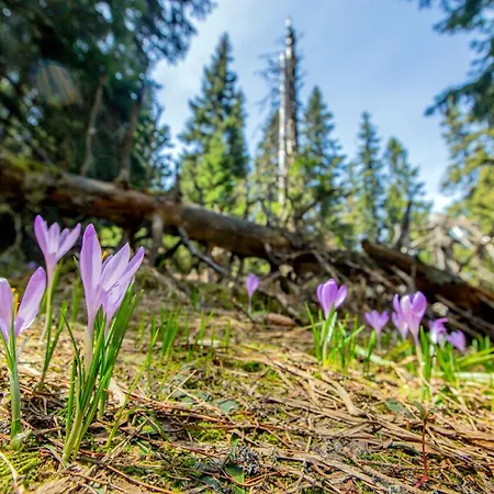 Апартаменты Anicka Ubytovanie Region Liptovsky Mikulas