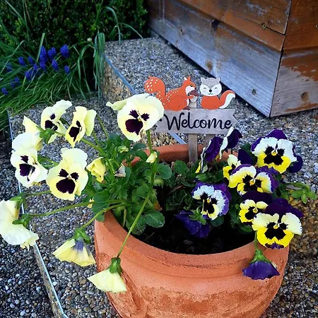 Apartman Anicka Region Liptovsky Mikulas