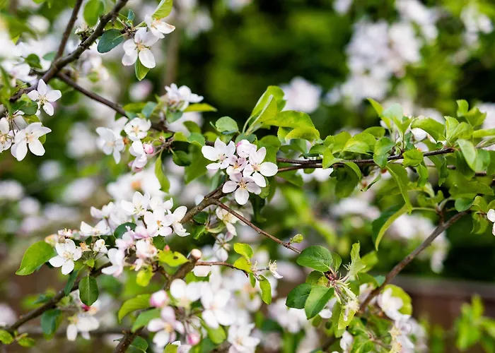 Lejlighed Anicka Region Liptovsky Mikulas Liptovske Matiasovce