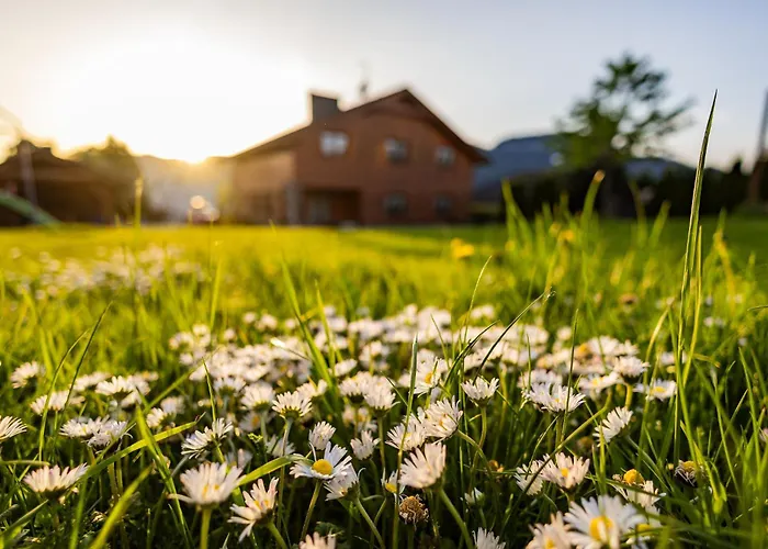 Anicka Region Liptovsky Mikulas