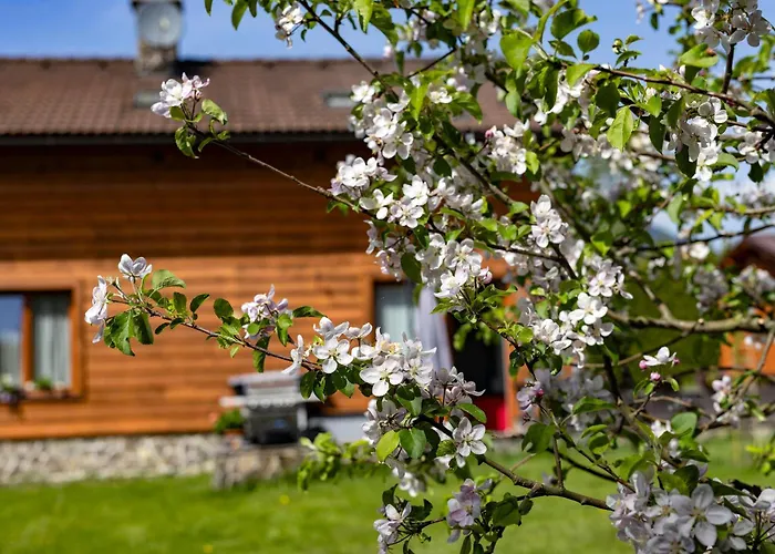 Lejlighed Anicka Region Liptovsky Mikulas *