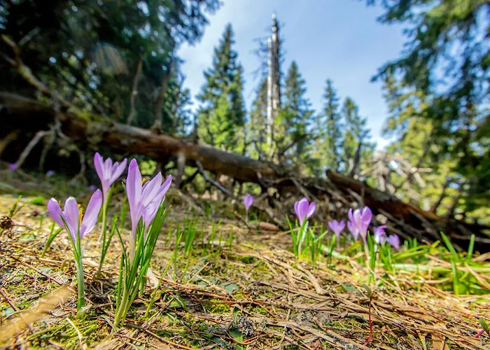 Lejlighed Anicka Region Liptovsky Mikulas