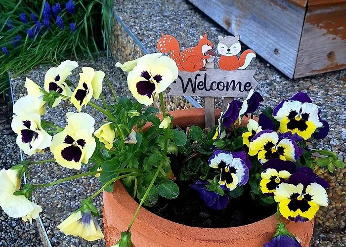 Lejlighed Anicka Region Liptovsky Mikulas